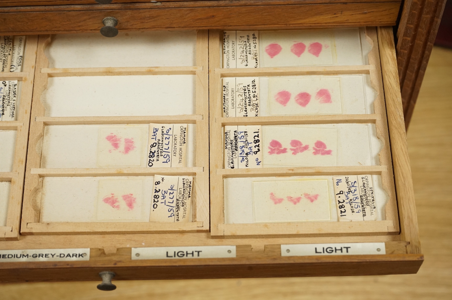 An early 20th century oak and plywood microscope slide cabinet, comprising of 20 drawers with ivorine numbers, containing slide holders and samples on slides from Orpington Hospital, dimensions; 55cm high, 37cm wide, 24.